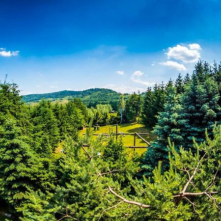 Agroturystyka Kapellanka - Kraina Wygaslych Wulkanow Wojcieszow Экстерьер фото